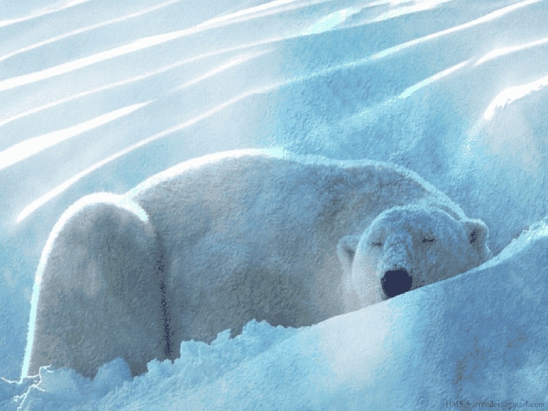 试管碎片率50男的不行试管包头试管移植价格