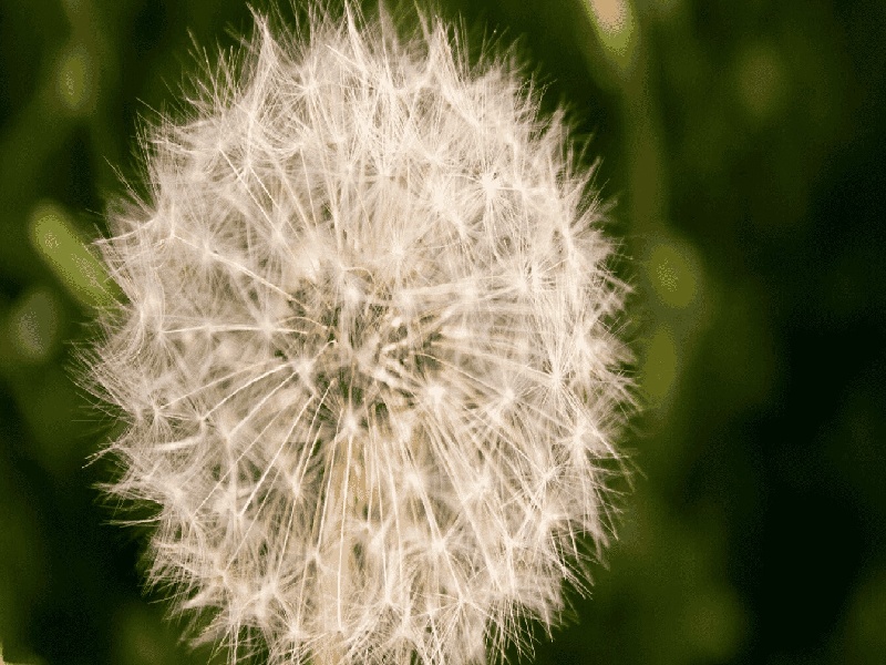 试管怀孕激素多少东方医院试管机构试管孕酮值8